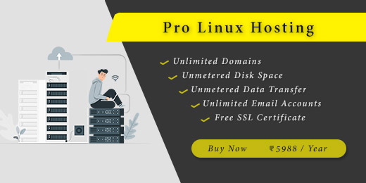 Pro Linux Hosting