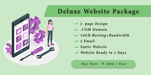 Deluxe Website Package